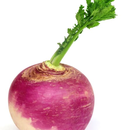 Räbeliechtli schnitzen – so geht’s | familleSuisse