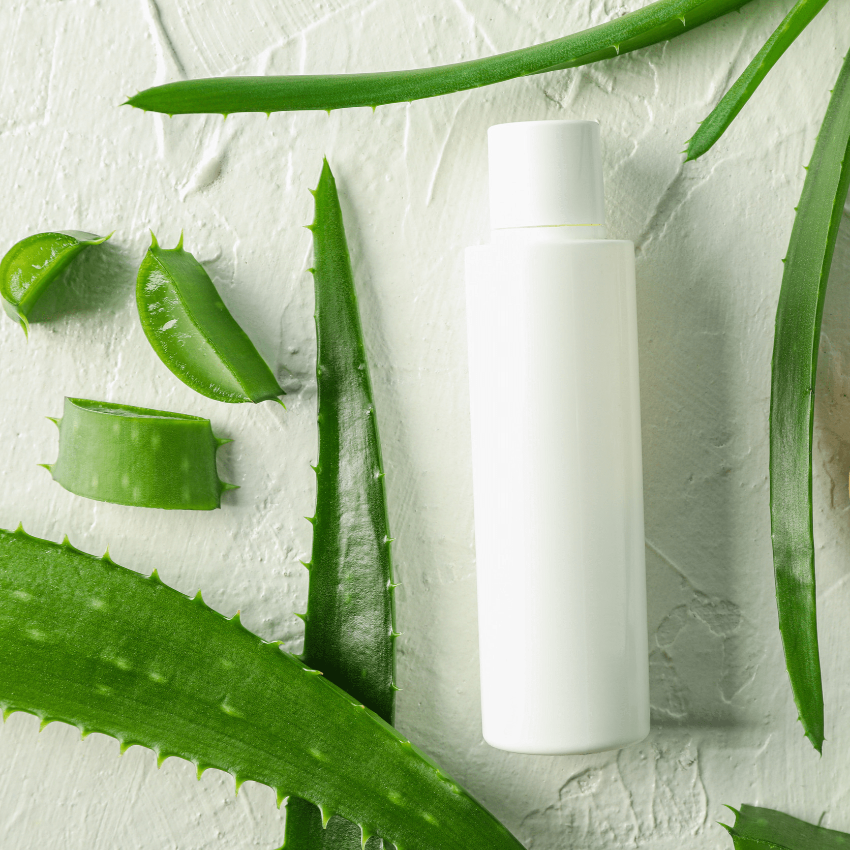 Aloe Vera und Kosmetikflasche
