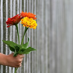 Blumen sind immer ein schönes Geschenk