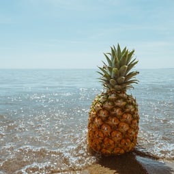 Ananas