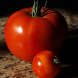 Tomaten