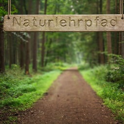 Geniessen und Lernen in der Natur