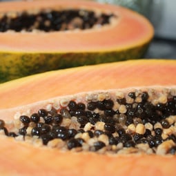 Papaya