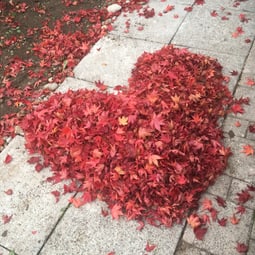 LandArt kann auch ganz einfach sein. 