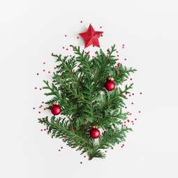 Weihnachtsbaumschmuck zum selbermachen