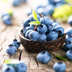 Heidelbeeren sind kleine Vitaminbomben