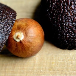 Avocadokern