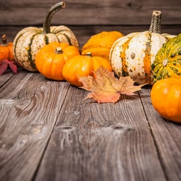 Kürbisse immer wieder cool im Herbst