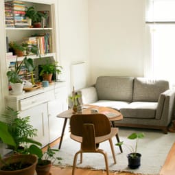 Zimmer mit Pflanzen