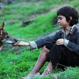 Der Bub Marcos freundet sich mit einem Wolfsjungen an. Langsam beginnt das Rudel den Menschen zu akzeptieren.