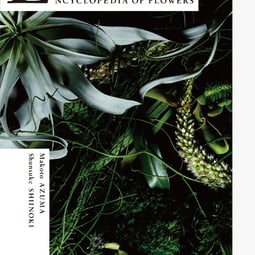 Meisterwerk: Encyclopedia of Flowers