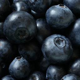 Heidelbeeren