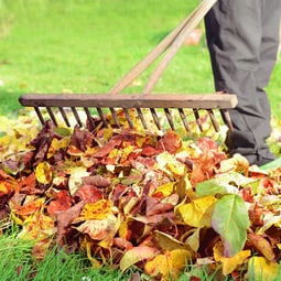 Herbstzeit - den Garten winterfest machen