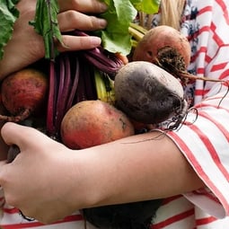 Superfood: Wurzel- und Knollengemüse