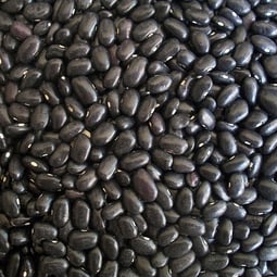 Schwarze Bohnen