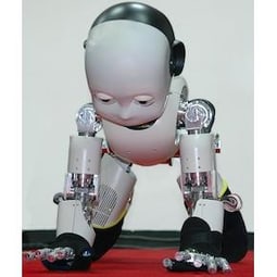 Roboter iCub: Ein Wesen mit Tastsinn