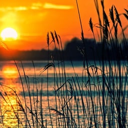 Sonnenuntergänge am See sind besonders eindrucksvoll. 