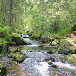 Von ganz zu Anfang an 