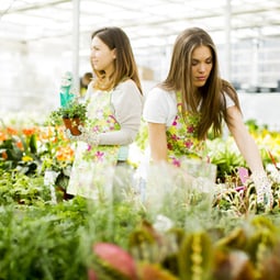 Gemüse aus dem eigenen Beet - besonders fein 