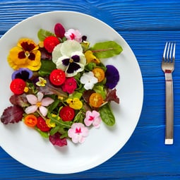 Essbare Blüten, spezielle Garnitur für jedes Gericht