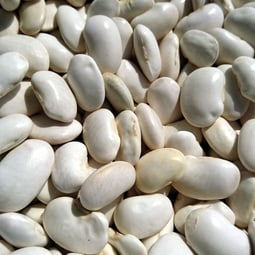 Weisse Bohnen
