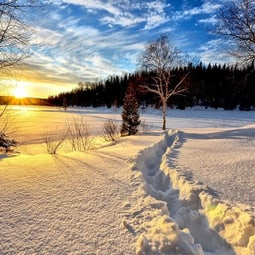 Winter-Landscape