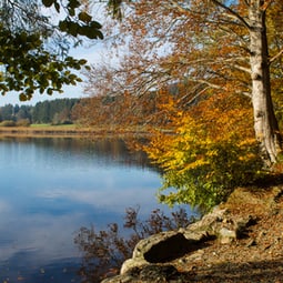 Der Herbst in voller Farbenpracht