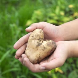 Die Natur bringt wahre Wunder hervor 