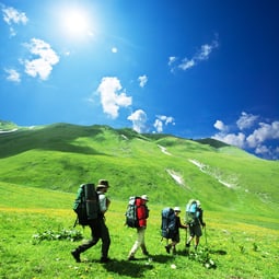 Wanderung auf einer Bergwiese