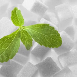 Stevia: Süsse, die auch Diabetiker geniessen dürfen.