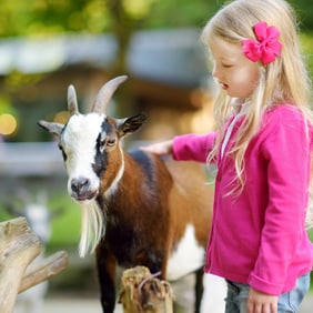 Knies Kinderzoo - Erleben, Fühlen und Staunen