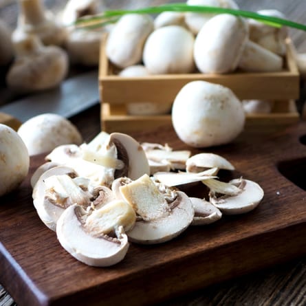 Der Champignon - der weltweit beliebteste Pilz