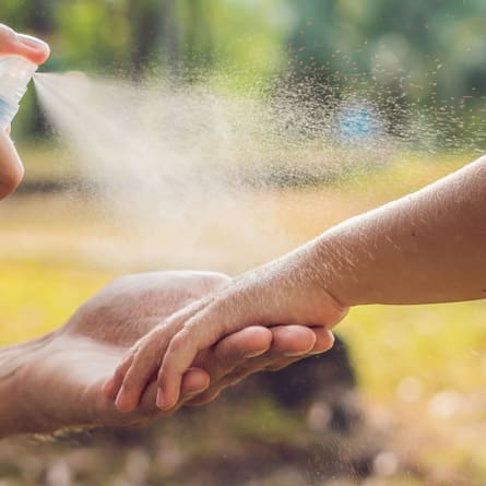 Tipps und Tricks gegen die lästigen Blutsauger