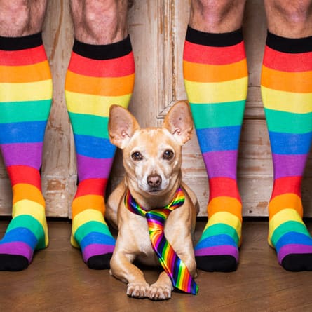 Menschen mit Regenbodensocken und Hund mit Regenbogenkrawatte als Symbol für LGBTQIA+