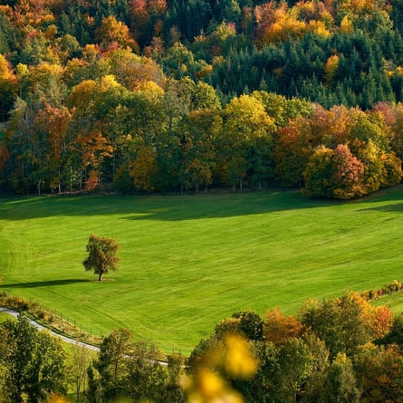 Herbst 