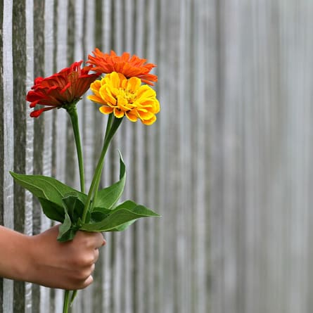 Blumen sind immer ein schönes Geschenk