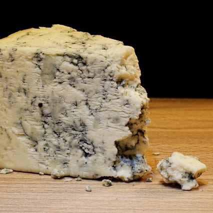 Gorgonzola mit gewolltem Schimmel