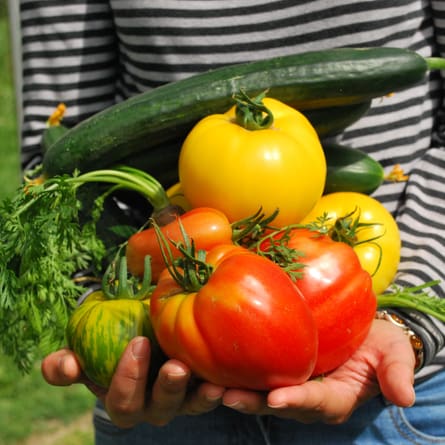 Gartenarbeit Gartenarbeit