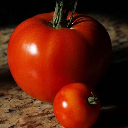 Tomaten