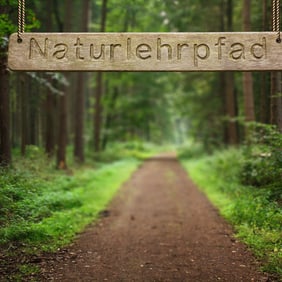 Geniessen und Lernen in der Natur