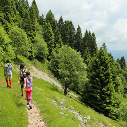 Wandern in den Schweizer Bergen