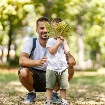 Vater mit Kind beim Waldspaziergang Vater mit Kind beim Waldspaziergang