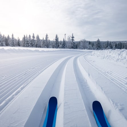 Skispitzen auf einer Piste