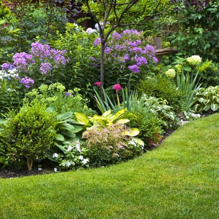 Garten mit Blumenbeet und bunten Pflanzen