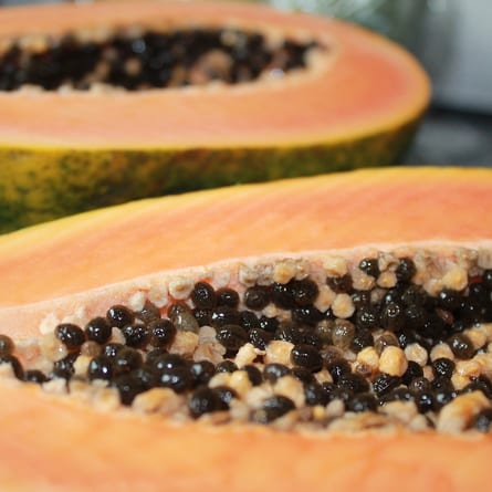 Papaya