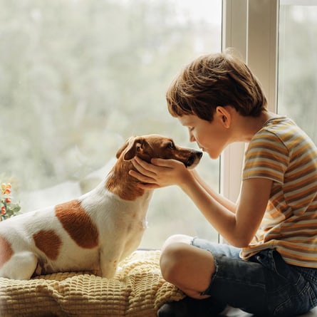 Haustiere können Ihr Familienleben bereichern