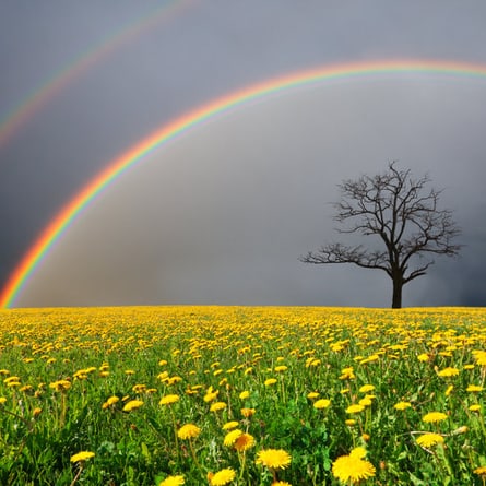 Ein Regenbogen in all seinen prächtigen Farben