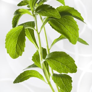 Stevia - natürlich süss