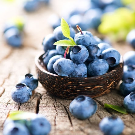 Heidelbeeren sind kleine Vitaminbomben