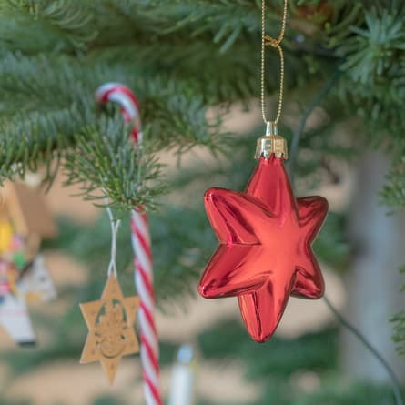 Sterne am Weihnachtsbaum